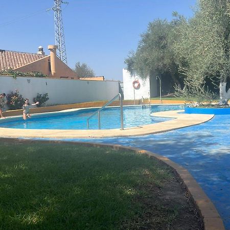 Apartamento A 8Km Sevilla Centro บาเลนกินา เด ลา กอนเซปซิออน ภายนอก รูปภาพ