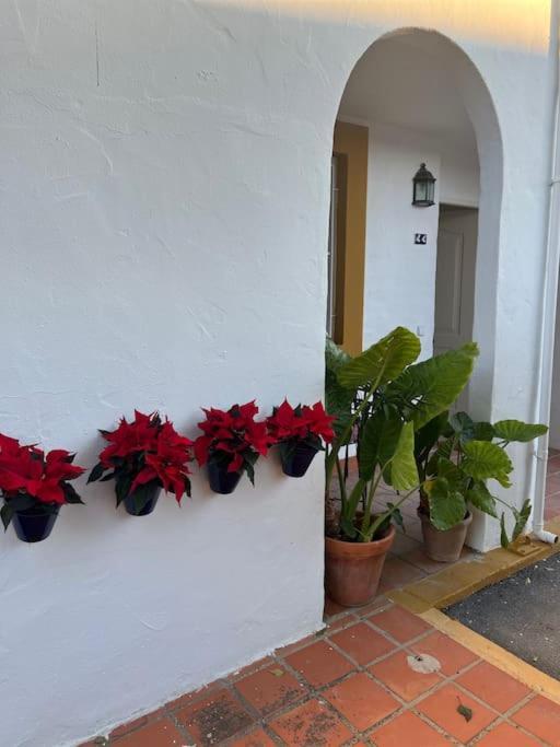 Apartamento A 8Km Sevilla Centro บาเลนกินา เด ลา กอนเซปซิออน ภายนอก รูปภาพ