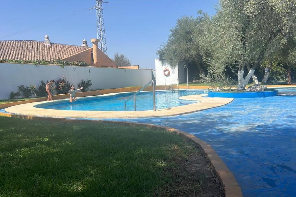 Apartamento A 8Km Sevilla Centro บาเลนกินา เด ลา กอนเซปซิออน ภายนอก รูปภาพ